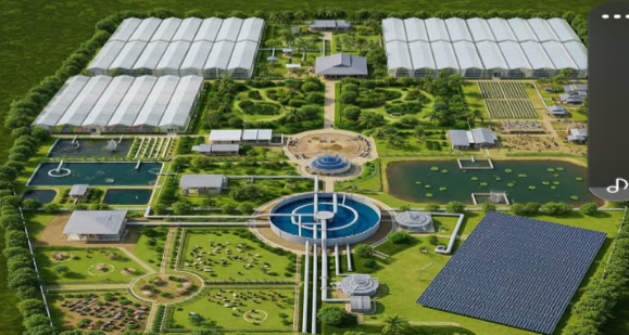 Guyana Proposal