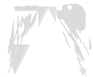 General Procurement